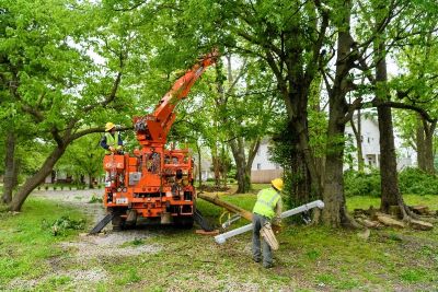 Grid Improvements Reduced Prolonged Outages in Arkansas May Storm